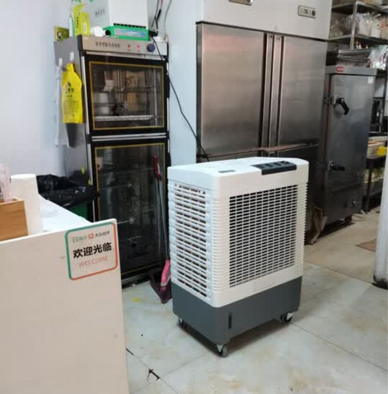 雷豹移動(dòng)冷風(fēng)機(jī)MFC6000 飯店廚房大排檔降溫
